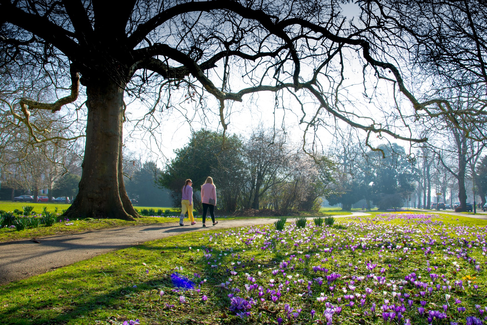 Estate planning advice in Cheltenham